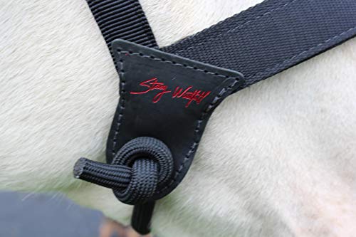 Weaver Leather Stacy Westfall Catch Halter