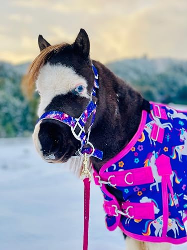 Star Point Horsemanship Rainbow Cheetah Halter - size: Large 33-40" Mini-Pony