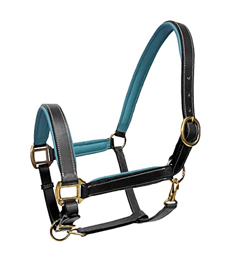 Leather Halter with Color Padded Crown and Nose with Brass Hardware - color: Black with Teal, size: Cob