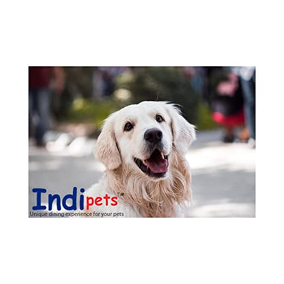 Indipets Stainless Steel Bucket For Pets (6-Quart) – Flat Back Pail w/out Hooks – Food & Water Pail For Cats & Dogs