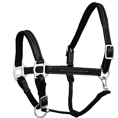 Exion Designer Stitched Padded Cushioned Horse Halter- Silver Hardware | Adjustable Chin and Throat Snap Halter | Replaceable Crownpiece Halter | Quick Release | Black, Havana Brown | Over, Full - color: Black, size: Cob (Medium Size)