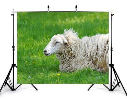 10x10ft Resting Wool Sheep Backdrop Thick Curly Fleece Fresh Green Grass Small Wild Yellow Flower Background Tapestry Party Pasture Farm Animal Home Decorations Photo Booth Props - size: 10x10ft