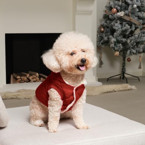 Vecomfy Warm Dog Coats with Hoodie,Winter Dog Jackets for Smaller Dogs - color: Red, size: X-Small