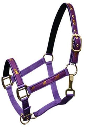 Adjustable Cob Size Neoprene Lined Nylon Halter w/Running Horse Overlay - color: Purple