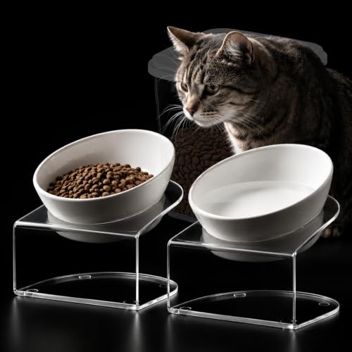 LivLab Mker Elevated Cat Bowls, Tilted Melamine, White, 2 Pack - color: 20LBS-3Pack-White-1