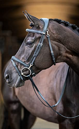 LeMieux Kudos Work Bridle - color: Black, size: Cob