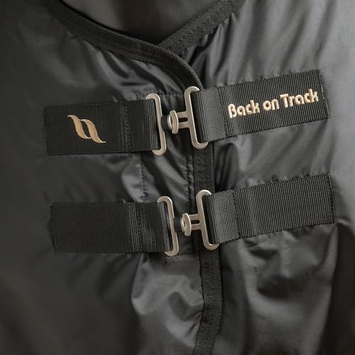 Back on Track Royal Mesh Sheet Deluxe Horse Blanket - color: Black, size: 84" (160cm)