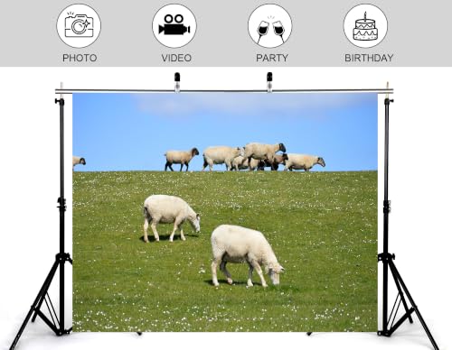 16x10ft Grass Sheep Pasture Backdrop White Wool Sheep Wild White Flower Bright Blue Cloud Sky Background Tapestry Party Farm Pasture Decorations Banner Photo Props - size: 16x10ft