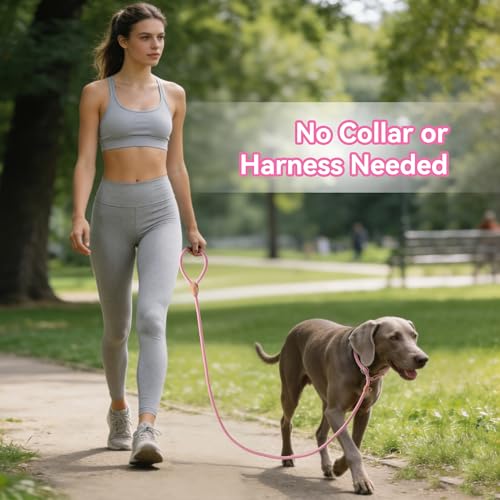 Mile High Life Heavy Duty Slip Lead No Pull Leash 6/5/4FT for Large Dogs - color: Pink, size: 4 Feet