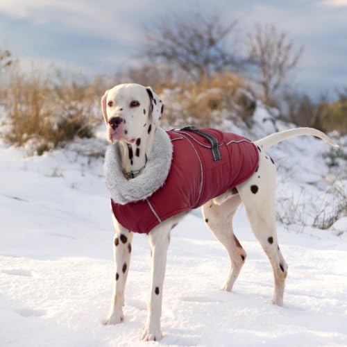 Lelepet Dog Coat Waterproof Dog Jacket Fleece Vest with Adjustable Buckle - color: Wine Red, size: S