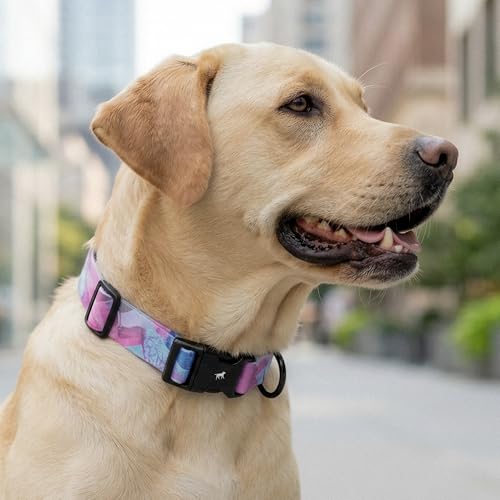 Tuff Pupper Premium Adjustable Dog Collar for Small Boy & Girl Dogs, Stylish Pattern Collars Designed in USA, Quick Release Buckle, PurpleHaze Print, Small (0.7 Inch Wide x 8-12 Inch Neck) - color: PurpleHaze, size: Small