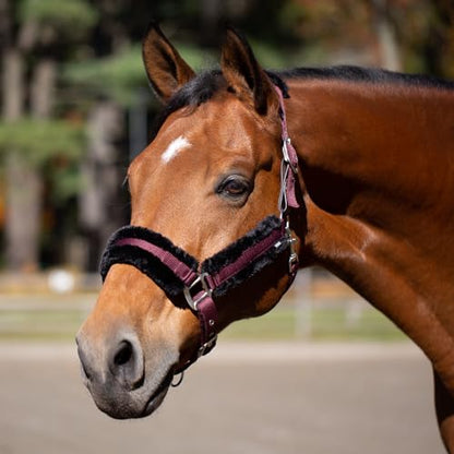 Equinavia Valkyrie Ultra Fleece Soft Padded Horse Halter Breakaway - color: Wine Red/Black, size: Cob