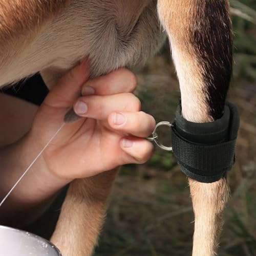 QMARK Goat Milking Hobbles Binding Straps, 2 Pack, Black