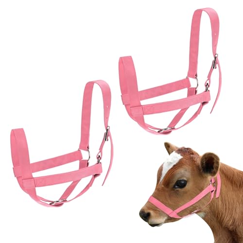 M METERXITY 2-Pack Adjustable Cattle Cow Calf Halter, 15.74"-19.68" Nylon Livestock Cow Halter for Miniature Horse/Donkey/Goat/Cattle [Pink]
