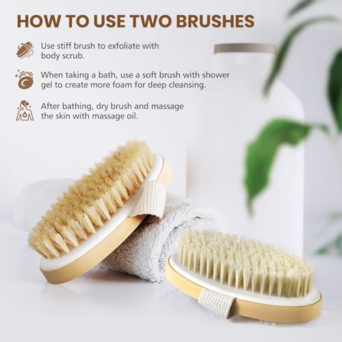 POPCHOSE Dry Brushing Body Brush, Natural Bristle Exfoliating Brush | Natural Boar Bristle Body Brush, Dry or Wet Exfoliating Shower Scrub Brush for Smoother Skin, Self Care Routine Gift - size: 2 Count (PP+Boar Bristles)