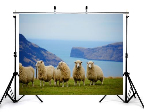 4x4ft Fabric Coastal Grassland Backdrop Wool Sheep Ocean Bay Hills Photography Background Tapestry Party Farm Countryside Scenery Decorations Banner Photo Booth Props - size: 4x4ft