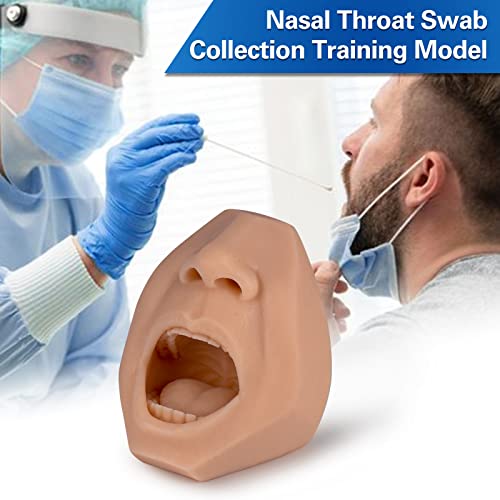 Nasal Swab Training Model, Throat and Oral Swab Collection Simulator - color: brown