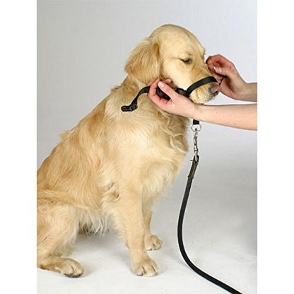 BARKELSS Gentle Dog Head Collar, Adjustable Padded Dog Halter | Dog Halter to Stop Pulling, Soft and Safety Control on Walks, Includes 1 Leash, Training Guide for Breeds - size: L