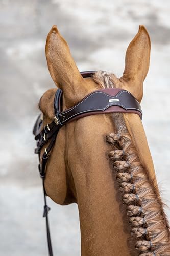 LeMieux Kudos Competition Flash Bridle - color: Havana, size: Full