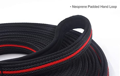 Long Dog Training Leash Dog Lead with Special Non-Slip Design and Padded Handle, 10/15/33/50 ft, for Any Size of Dogs - size: 33ft