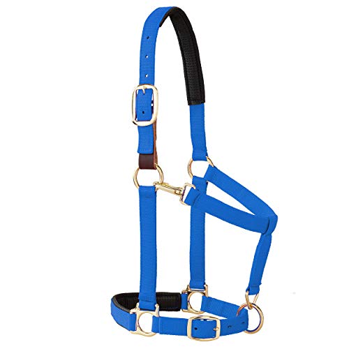 Weaver Equine Breakaway Horse Halter, Comfort Foam Padding, Adjustable Chin & Throat Snap Halters for Horses, Equine Tack,Average Size - color: Blue