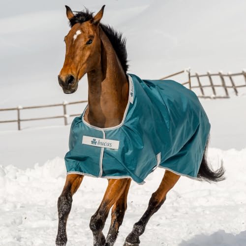 Toklat Bucas Atlantic Turnout Blanket - 400G Heavyweight Winter Horse Blanket Spruce / 63