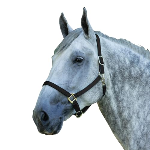 Dura-Tech Draft Horse Nylon Breakaway Turnout Halter Turnout Halter for Draft Horses | Enhanced Safety Breakaway Tab | Robust Nylon Construction