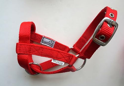Livestock Goat Halter. Small, Medium, Large – Safe & Adjustable for Milking, Training, and Travel. (Red, Small (29"–32")) - color: Red, size: Small (29"–32")