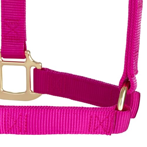 Weaver Leather Original Non-Adjustable Nylon Horse Halter