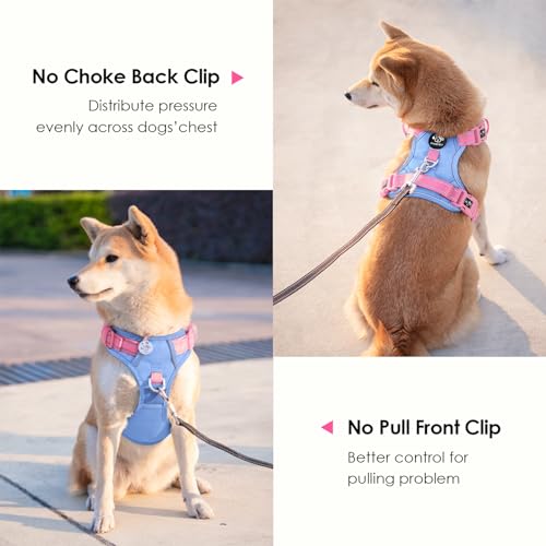 PHOEPET No Pull Dog Harness, Unique Colors Reflective Adjustable Dog Vest - color: Baby Blue Base & Pink Straps, size: Small