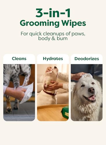 Earth Rated XL Pet Wipes for Dogs & Cats, Unscented Hypoallergenic, 60 Ct - color: Unscented, size: 60 XL Grooming Wipes