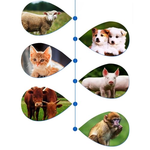 Non Contact Pet Temperature Reader Infrared Pet Health Scanner Quick Check Tool for Cat and Dog Portable Gauge Instant Thermograph for Livestocks Pigs Dogs Cattle Health Cats Indoor Horse