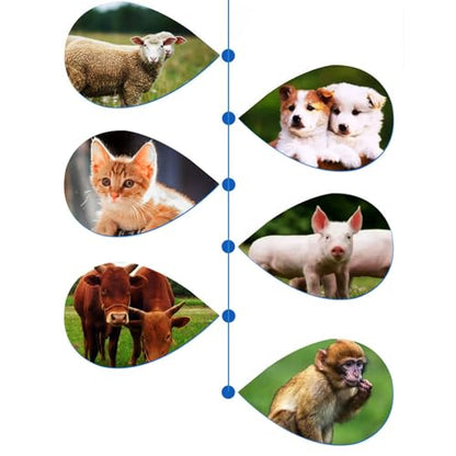 Non Contact Pet Temperature Reader Infrared Pet Health Scanner Quick Check Tool for Cat and Dog Portable Gauge Instant Thermograph for Livestocks Pigs Dogs Cattle Health Cats Indoor Horse