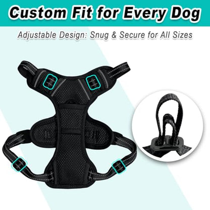 BARKBAY Dog Harness for Small Sized Dog No Pull Mesh 2 Clips Dog Vest - color: Black-Mesh, size: X-Small