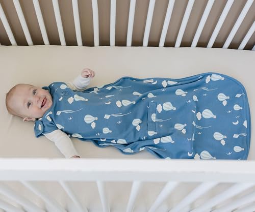 Woolino Toddler Sleeping Bag, 4 Season, Merino Wool and Organic Cotton, Baby Sleep Bag or Sack, 2-4 Years, Hot Air Balloon - color: Hot Air Balloon