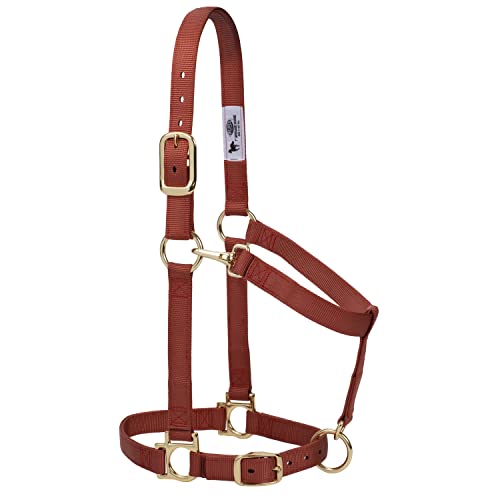 Weaver Leather Basic Adjustable Chin and Throat Snap Halter - color: Cinnamon, size: 1" Small Horse