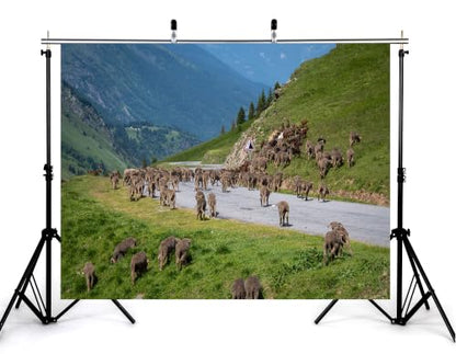 20x10ft Fabric Mountain Road Flock Sheep Backdrop Grey Mountain Highway Mass Wool Sheep Green Hillside Forest Background Tapestry Party Alpine Farm Home Wall Decorations Photo Booth Props - size: 20x10ft