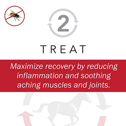 Professional's Choice Theramic Fly Neck Cover | Increase Blood Circulation | Reduce Inflammation | Ease Pain | Fight Flies