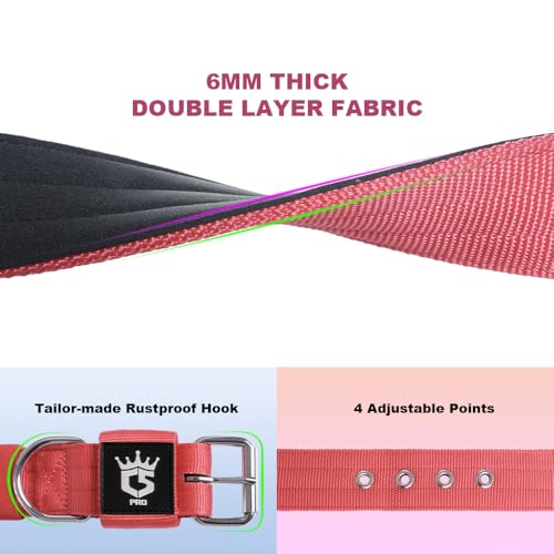 TSPRO Heavy Duty Thick Dog Collar with Metal Buckle for Small Dogs - color: Basic Khaki, size: S – Fits Neck 12.6"-15.8"