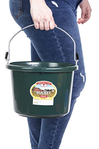 Little Giant® Plastic Animal Feed Bucket | Round Plastic Feed Bucket with Metal Handle | Made in USA | 8 Quarts | Green - color: Green