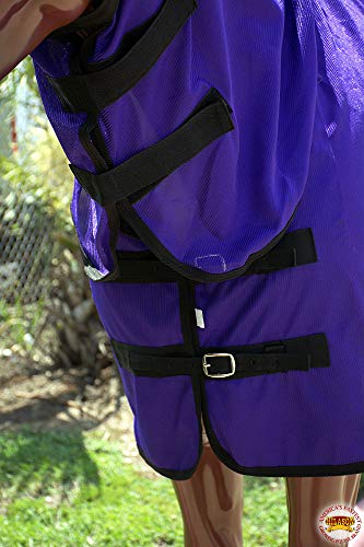 HILASON Horse Fly Sheet UV Protect Breathable Mesh Purple 69 in - color: Purple, size: 69 In