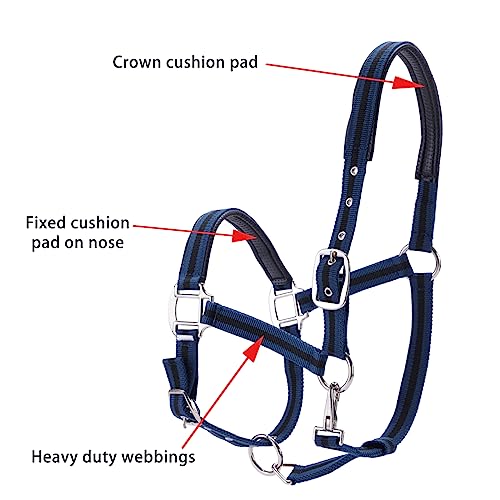 Adjustable Horse Halters - Heavy Duty Nylon Webbing & Hardware, Padded with Anti Chafing Foam-Cushioned on Crown & Nose - color: Dark Blue, size: Cob
