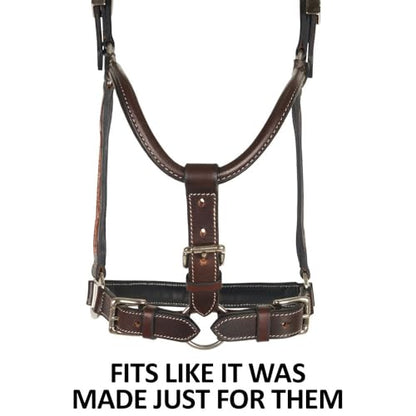 Schneiders McKenzie Padded Leather Ranch Halter for Horses | Premium Argentine Leather with Hand-Tooled Basketweave & Floral Design | Western Style & Comfort Fit