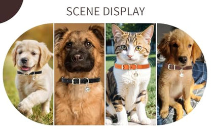Black Bell Collar for Small Dogs S Dog Collar Bell Puppy Cat Bell Collars - color: Black, size: S(Neck 10-13")