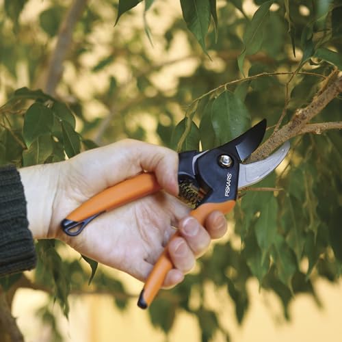 Fiskars SoftGrip Bypass Pruning Shears, 5/8” Cut Capacity Garden Clippers | Right and Left-Handed Use, Steel Blade with Low Friction Coating, Rust Resistant Garden Clippers for Stems & Branches - style: Soft Grip Pruner