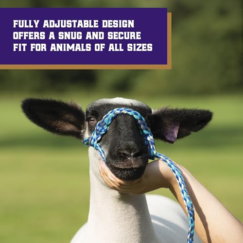 Weaver Livestock Braided Poly Rope Halter, 3/8" x 10" Modern, Adjustable, Soft Braid Sheep Halter, Livestock Equipment for Sheep, Goats - size: 3/8"X10'