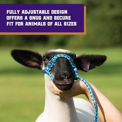 Weaver Livestock Braided Poly Rope Halter, 3/8" x 10" Modern, Adjustable, Soft Braid Sheep Halter, Livestock Equipment for Sheep, Goats - size: 3/8"X10'