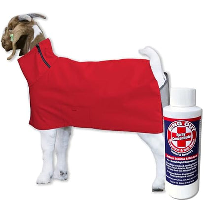 Show Pro Red Goat Blanket Nylon with Mesh Butt for Show Goats - Livestock Supplies for Goat Cover. Free Ring Out Concentrate for Proven Ringworm & Fungus Prevention Included - size: Large