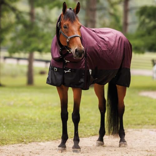 Country Pride Gale Force Midweight Turnout Blanket for Horses, 1680D Waterproof Blanket, 200g Insulation, Adjustable Double Buckle Front, Bias Surcingle, Shoulder Gussets, Tail Cover, Plum/Black (76) - size: 76