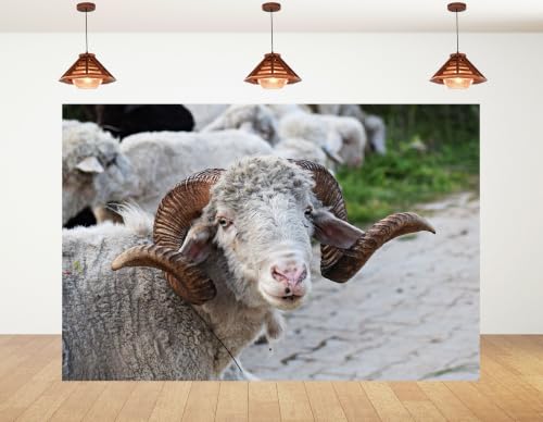 4x4ft Fabric Horned Sheep Portrait Backdrop Curly White Wool Big Brown Horn Rural Dirt Road Green Grass Photography Background Tapestry Party Farm Animal Decorations Photo Booth Props - size: 4x4ft